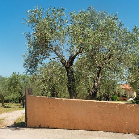 Welcomely - Country Guesthouse Olivar Alghero Exterior foto