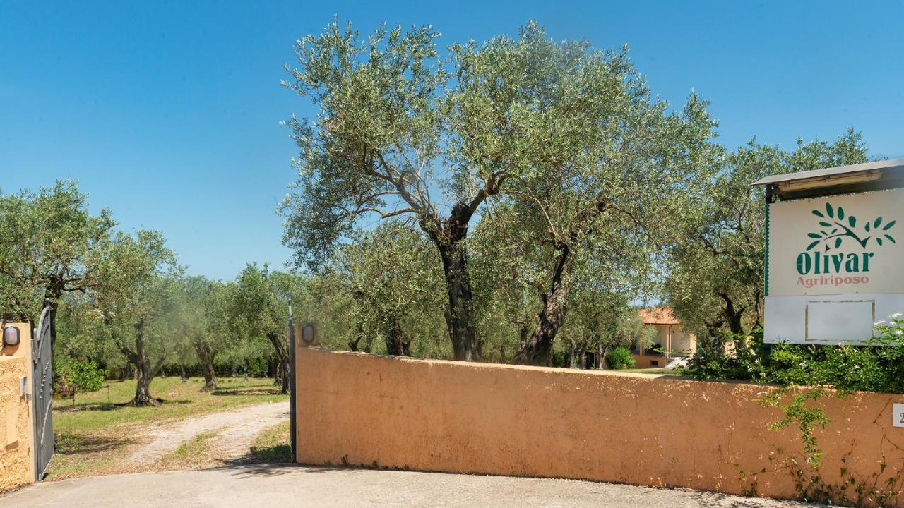 Welcomely - Country Guesthouse Olivar Alghero Exterior foto